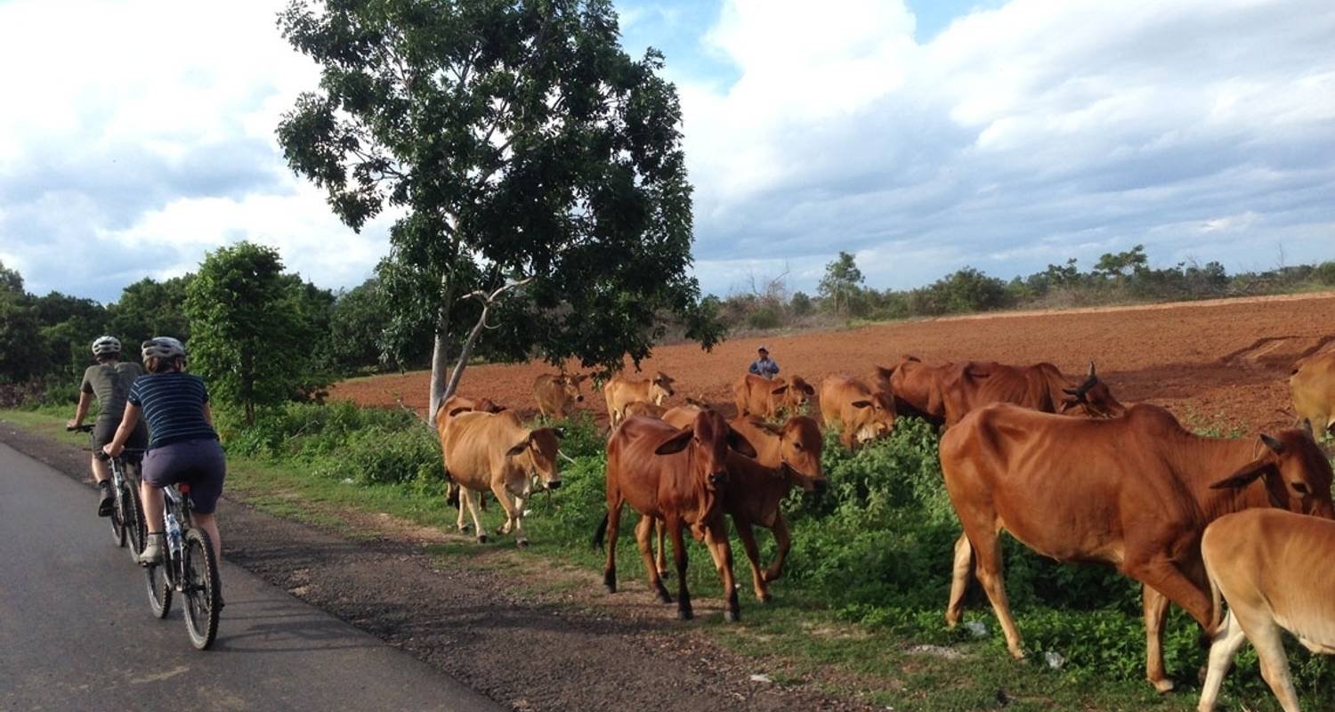Conquer the Legendary Ho Chi Minh Trail: 9-Day Gravel Bike Adventure Tour